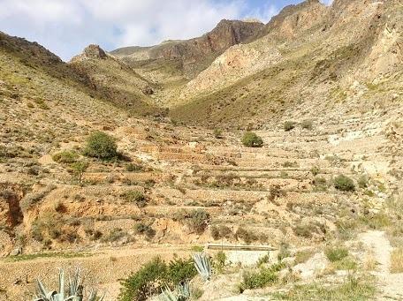 Cortijo El Molino Apartamento"El Balconcito" Níjar エクステリア 写真